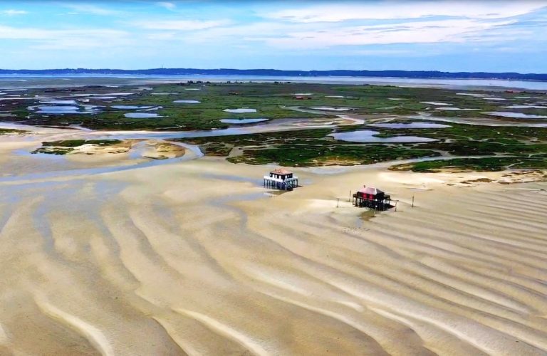 Survol video du Bassin d&rsquo;Arcachon nature avant le deconfinement. Des moments rares…
