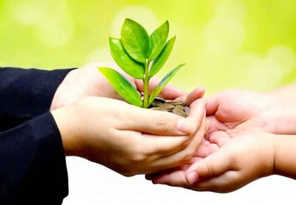 Investissements : Comment réconcilier finance et environnement ?