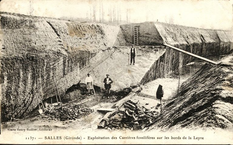 Histoire du Bassin : L&rsquo;évolution des industries entre terre et mer…