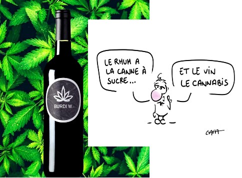 L&rsquo;EDITO : Après le vin dans l&rsquo;espace, le Bordeaux au Cannabis…