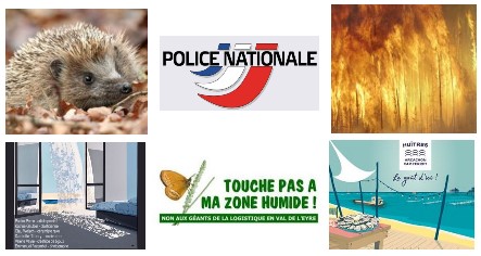 Les Nouvelles du front cette semaine sur le Bassin pendant le confinement…