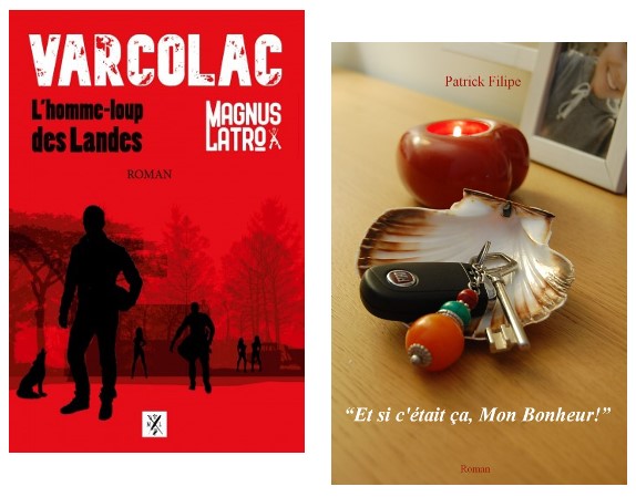 Livres : Un roman therapeutique et un thriller dans la foret landaise