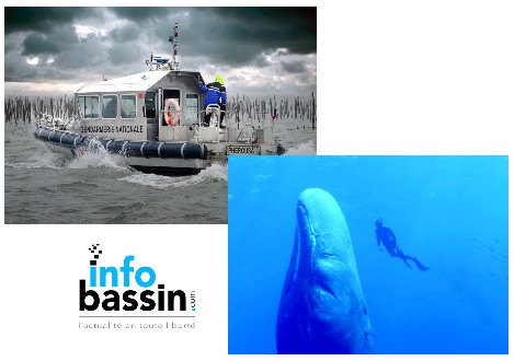 Des infos autour de la mer…