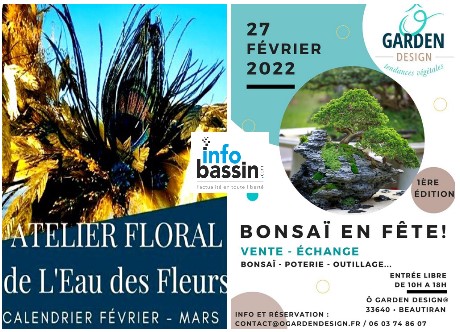 Pour l&rsquo;amour des belles plantes…