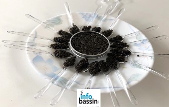 Du caviar ? Produit sur le Bassin? Oui, à l&rsquo;Esturgeonnière…
