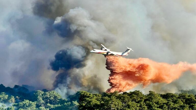 Incendie à La Teste : La forêt continue de brûler, les pompiers luttent pied à pied…
