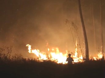 Feu à Belin-Beliet : 6800 ha brûlés et la fumée couvre le Bassin…