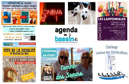 Où sortir dehors au soleil, ou s&rsquo;assoir dedans au frais, cette semaine?