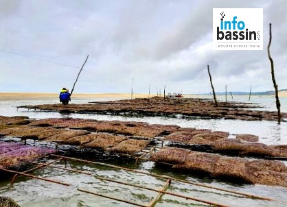 Saisie d’huîtres sur un parc ostréicole illégal au banc d’Arguin…