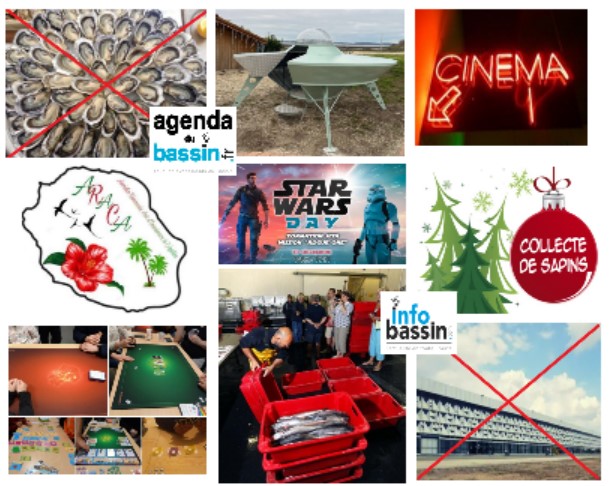 Infos neuves, sorties et films sur le Bassin!