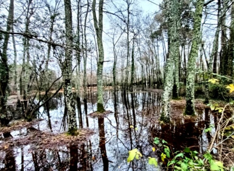 Actu, sorties et films cette semaine sur le Bassin!