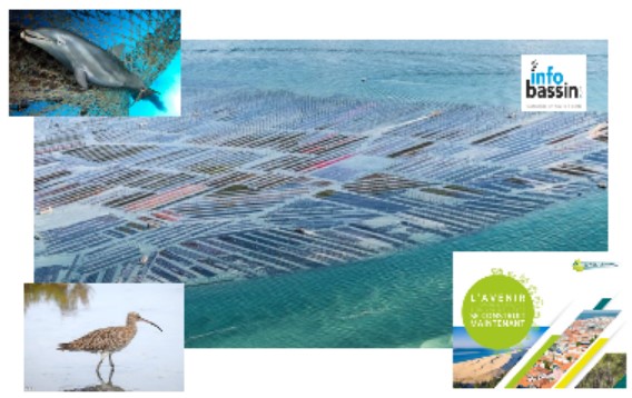 Environnement: Ca grogne sur le Bassin d&rsquo;Arcachon…