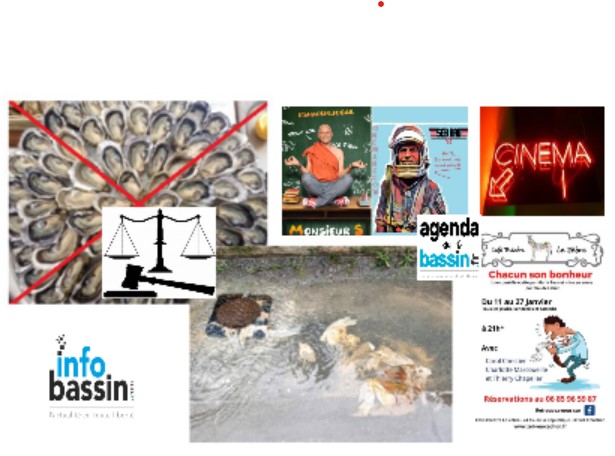 Info: Pollution du Bassin? Le CRCAA, amer, entame une procédure judiciaire. Sorties : quoi faire ce WE.