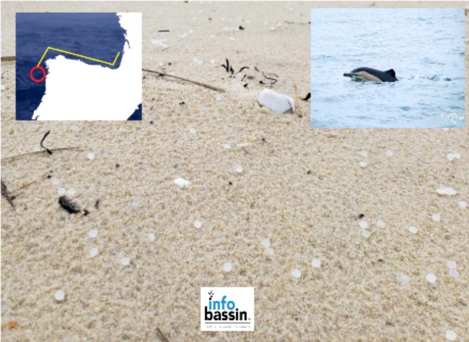 Pollution aux Microbilles: Vous reprendrez bien un peu de plastique dans votre poisson?