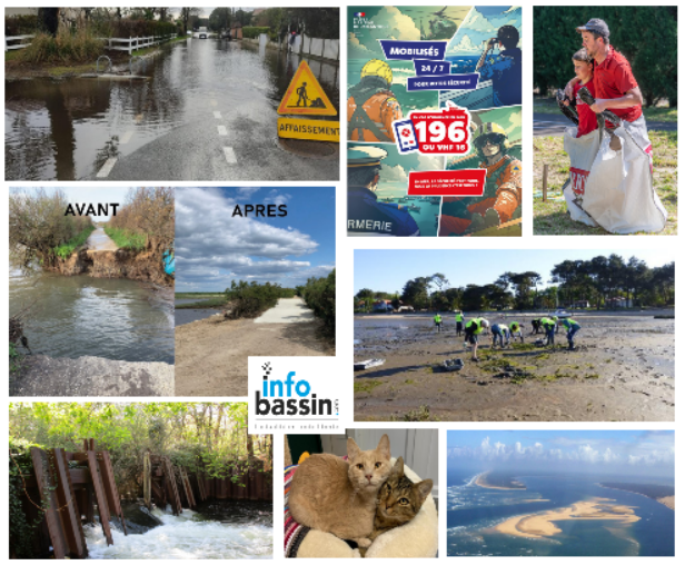 Les infos à connaitre cette semaine sur le Bassin…