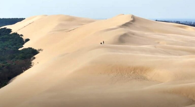 L&rsquo;accueil de la Dune du Pilat fait peau neuve…