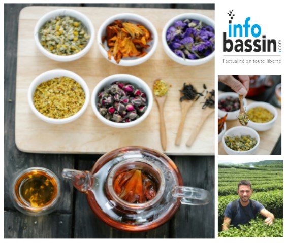 Chroniques du thé : Aromatisés et plantes à infusions