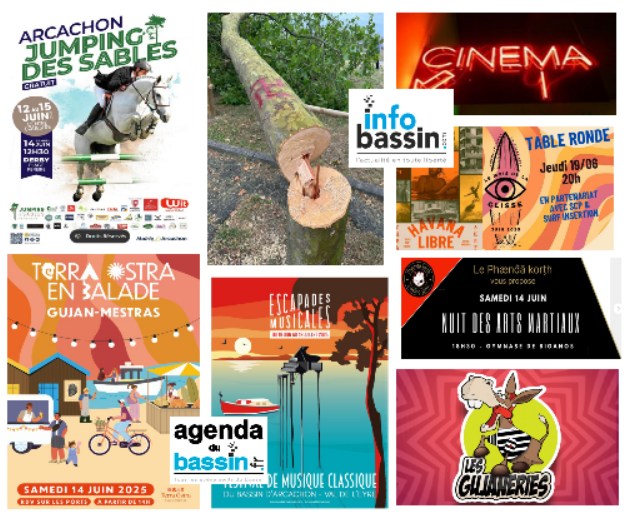 Infos, sorties, films, cette semaine sur le Bassin!
