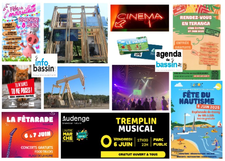 Actu, sorties, films cette semaine sur le Bassin!