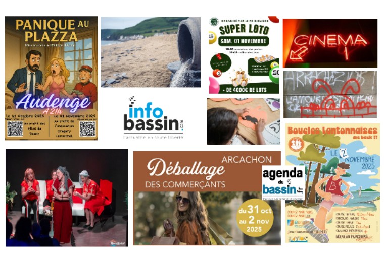 Infos, sorties sur le Bassin ce 31/10/25…