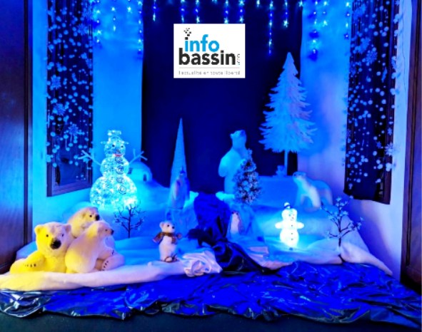 Infos et sorties pour Noel sur le Bassin!