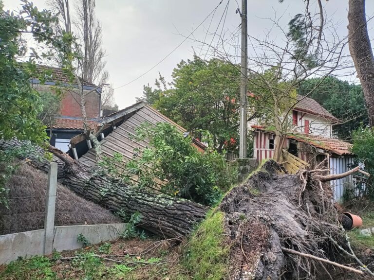 Tempête Nils: Le grand souffle du large… (et autres infos)