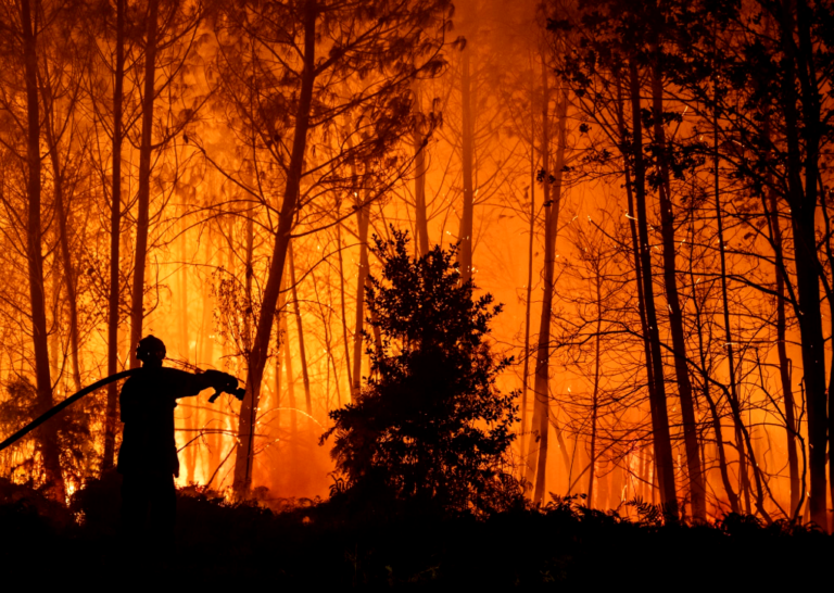 Feu Nord Bassin : Sur le front, la lutte continue…